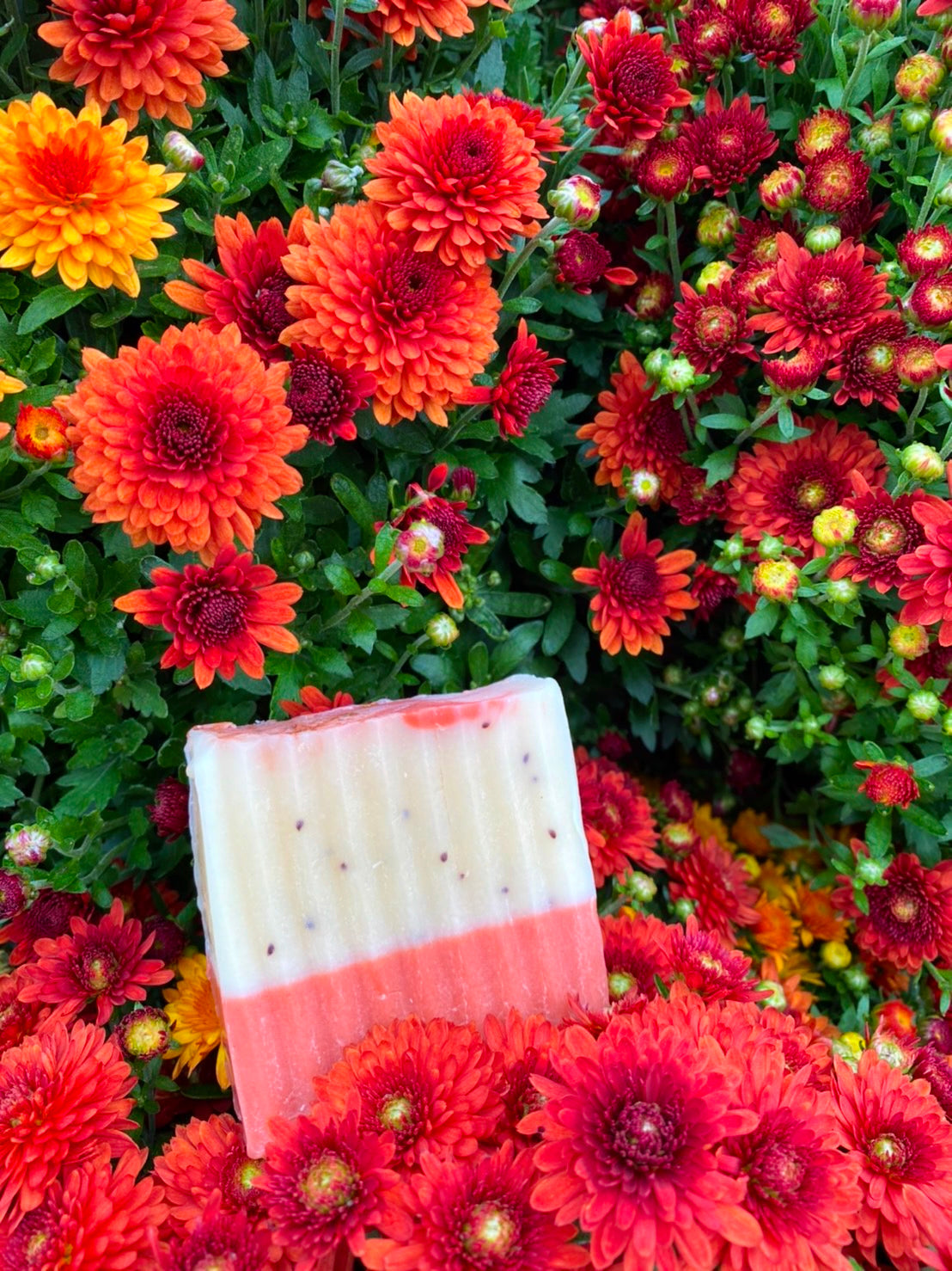 Spiced Cranberry Cider Artisanal Soap Bar - Premium Soap from PIQUE NIQUE - Discover natural formulations for bath and body at www.piqueniquesg.com.