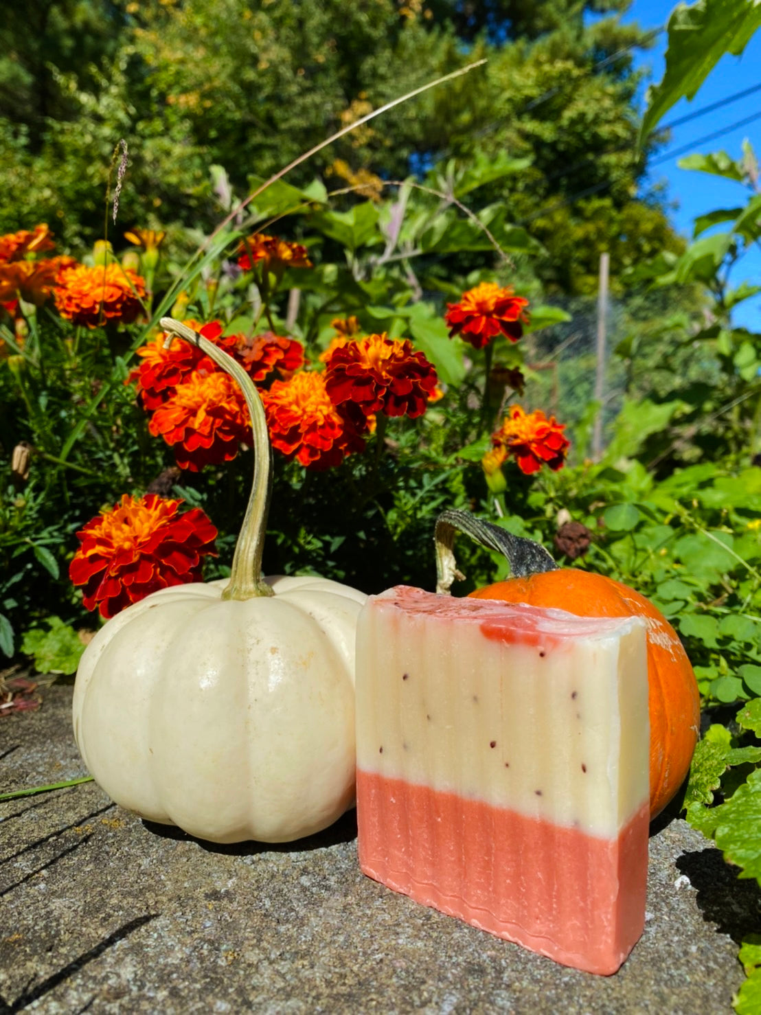 Spiced Cranberry Cider Artisanal Soap Bar - Premium Soap from PIQUE NIQUE - Discover natural formulations for bath and body at www.piqueniquesg.com.