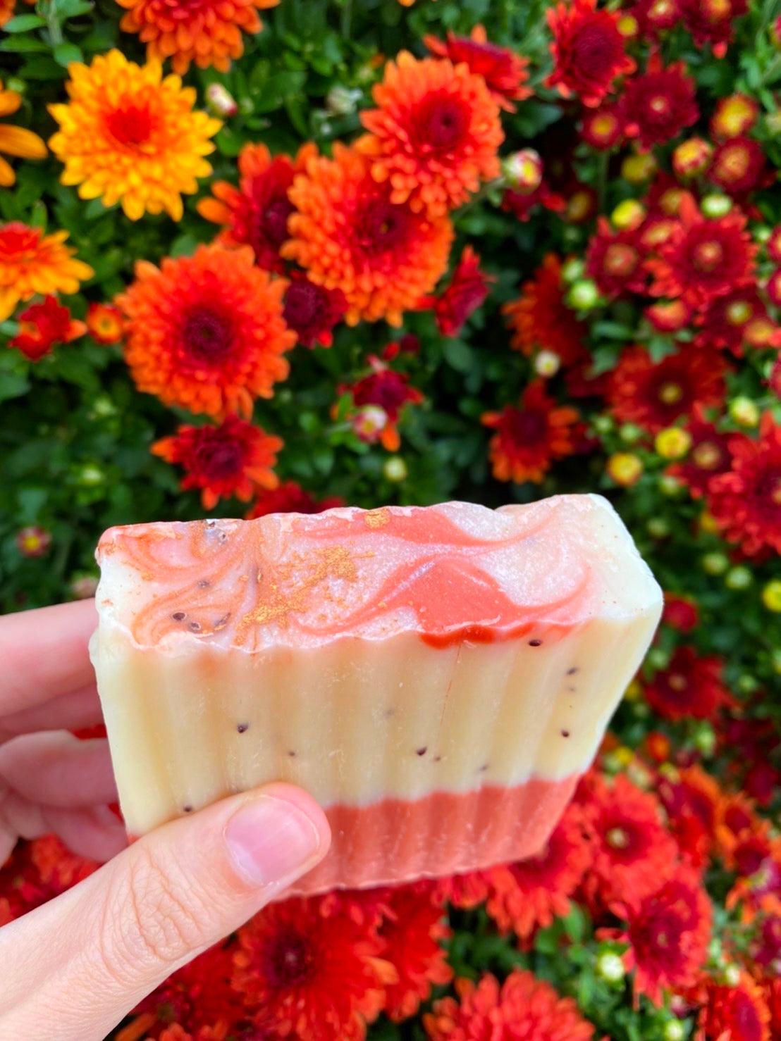 Spiced Cranberry Cider Artisanal Soap Bar - Premium Soap from PIQUE NIQUE - Discover natural formulations for bath and body at www.piqueniquesg.com.