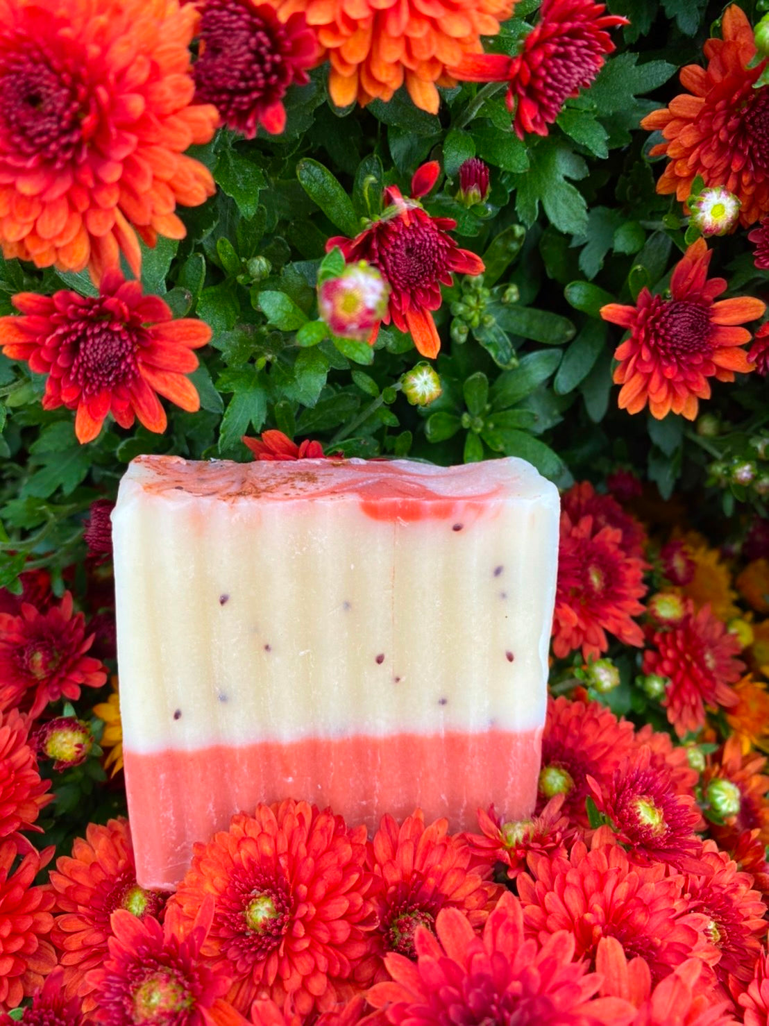 Spiced Cranberry Cider Artisanal Soap Bar - Premium Soap from PIQUE NIQUE - Discover natural formulations for bath and body at www.piqueniquesg.com.