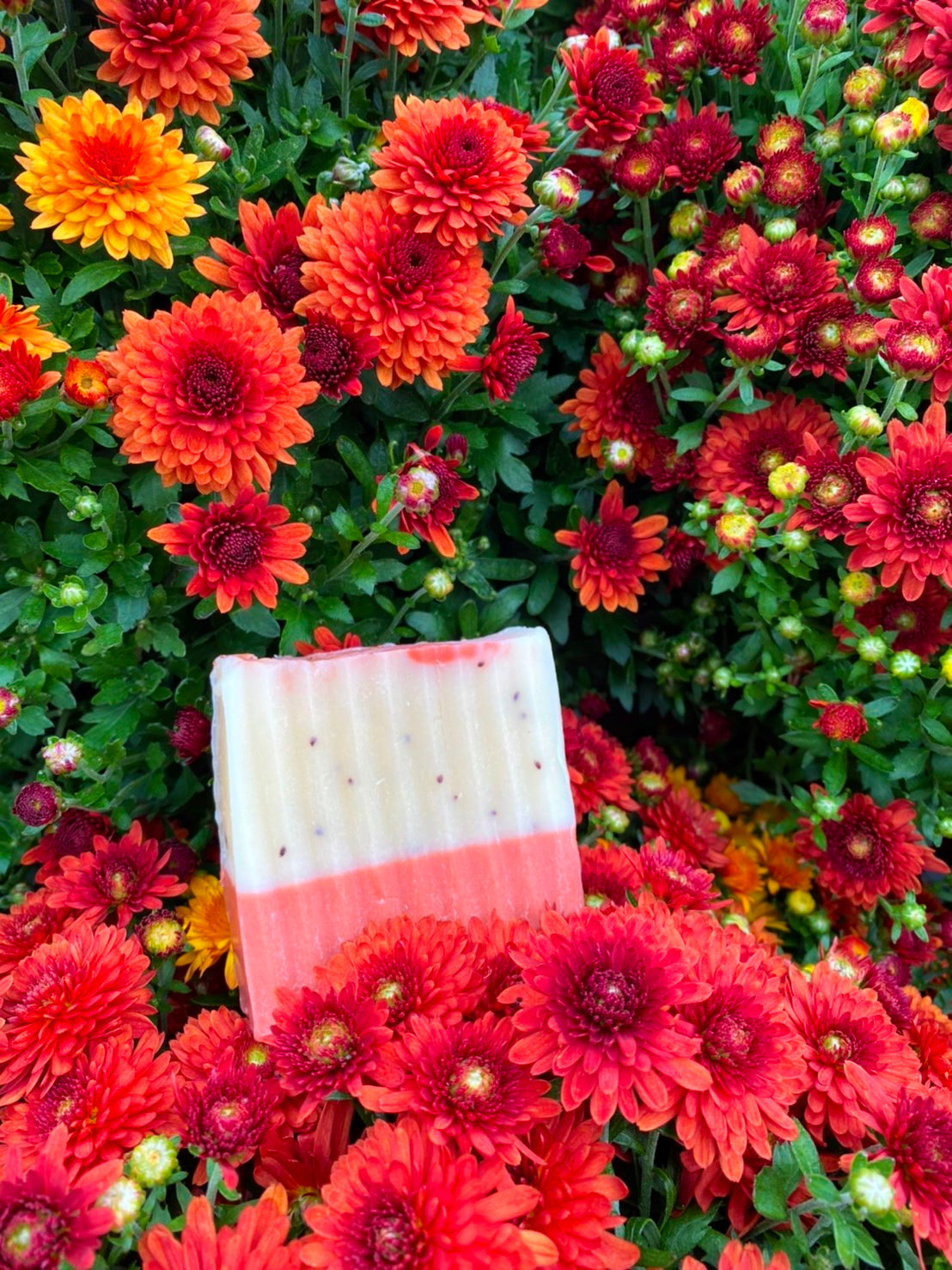Spiced Cranberry Cider Artisanal Soap Bar - Premium Soap from PIQUE NIQUE - Discover natural formulations for bath and body at www.piqueniquesg.com.
